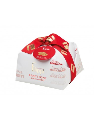 FILIPPI PANETTONE DAMERINO S/CAND COD.DMR8905